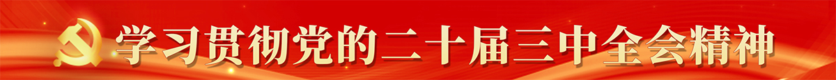 学习党的二十届三中全会精神