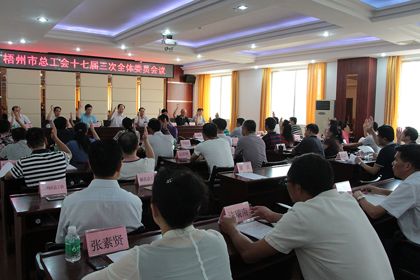 梧州市总召开十七届三次全体委员会议(图文)