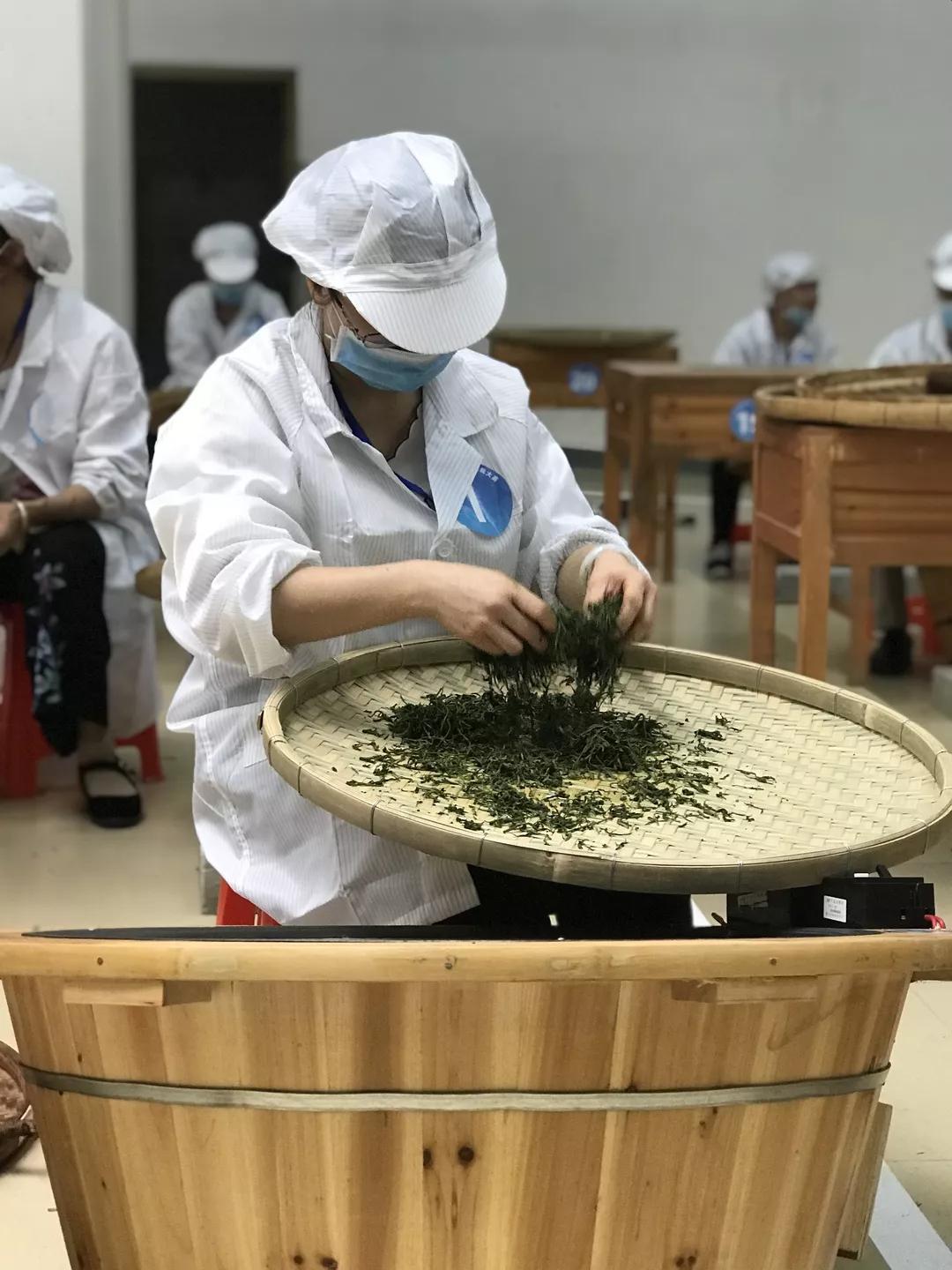微信图片_20180904170954.jpg