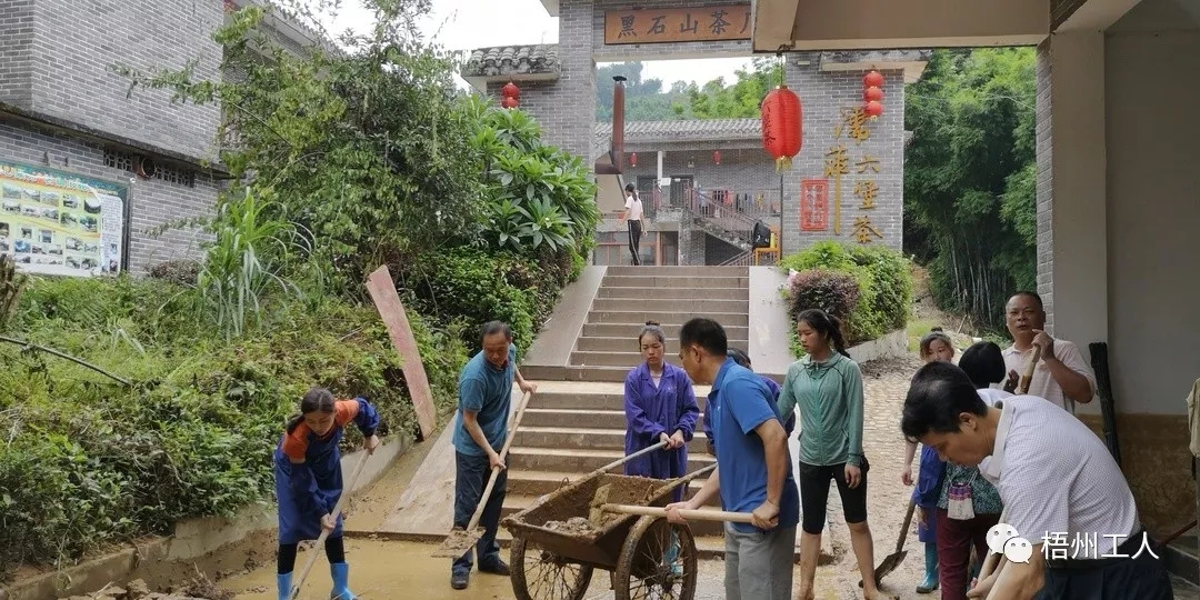 工会为六堡镇茶农灾后恢复生产注入活力