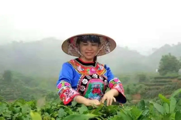 【梧州工匠】刘锦芳：钻研和创新，带领乡亲发家致富