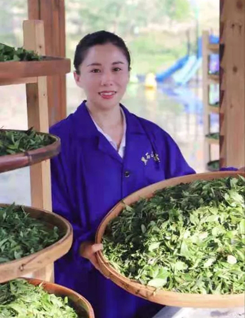 【梧州工匠】石濡菲：择一茶，修一技，终一生