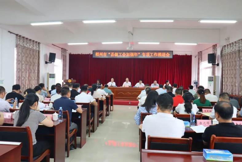 梧州市召开“县级工会加强年”专项工作推进会