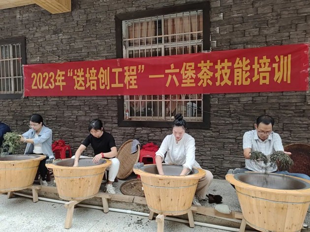 送培创到村屯 助就业添动力丨广西梧州市六堡茶工匠学院六堡茶技能培训班成功举办