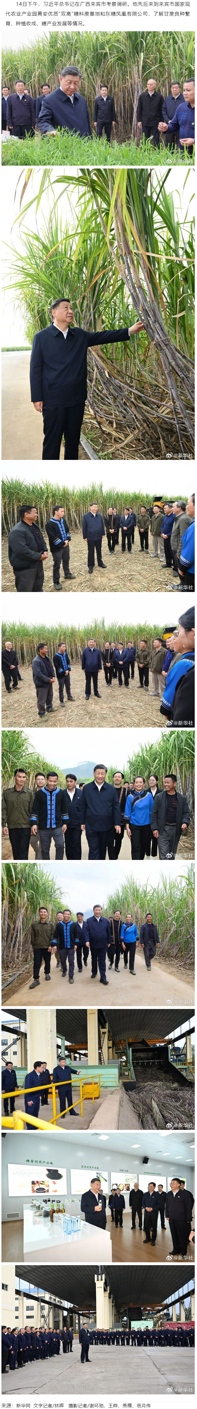 习近平在广西来宾市考察调研.png