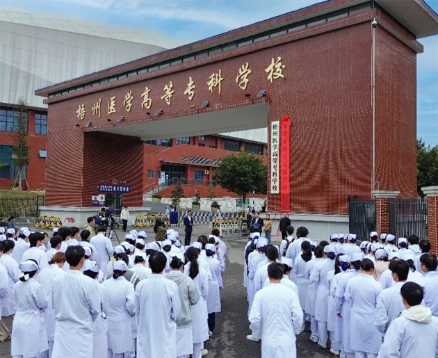 搭建职工成长成才平台丨梧州市总工会2025年新增3家市级工匠学校