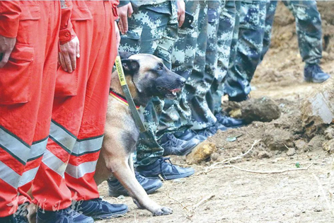 消防、武警、摩托车运输队等多方力量联合搜救｜东航客机坠毁事故救援现场直击