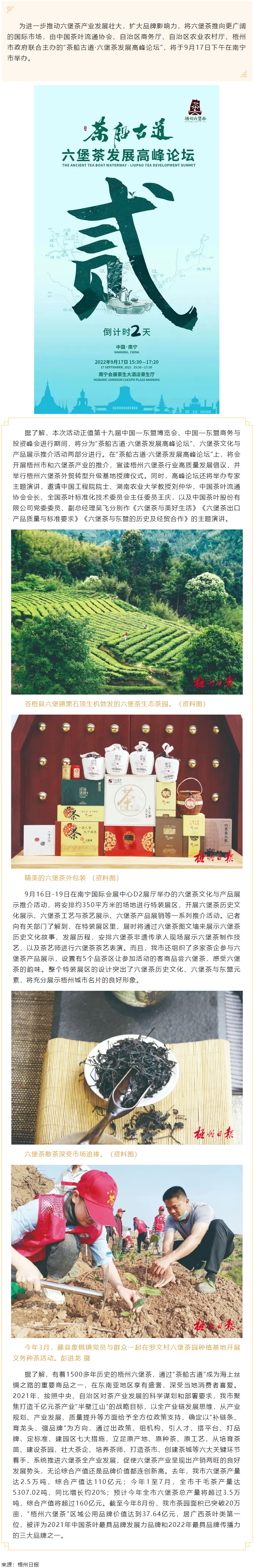 【媒体聚焦】品千年名茶韵味 论产业发展前景丨“茶船古道·六堡茶发展高峰论坛”将在南宁市举办.png