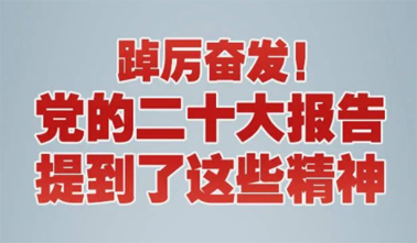 【党的二十大】踔厉奋发！党的二十大报告提到了这些精神