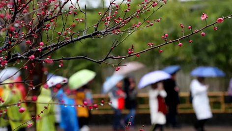 今日雨水！别忘了咱的老讲究！