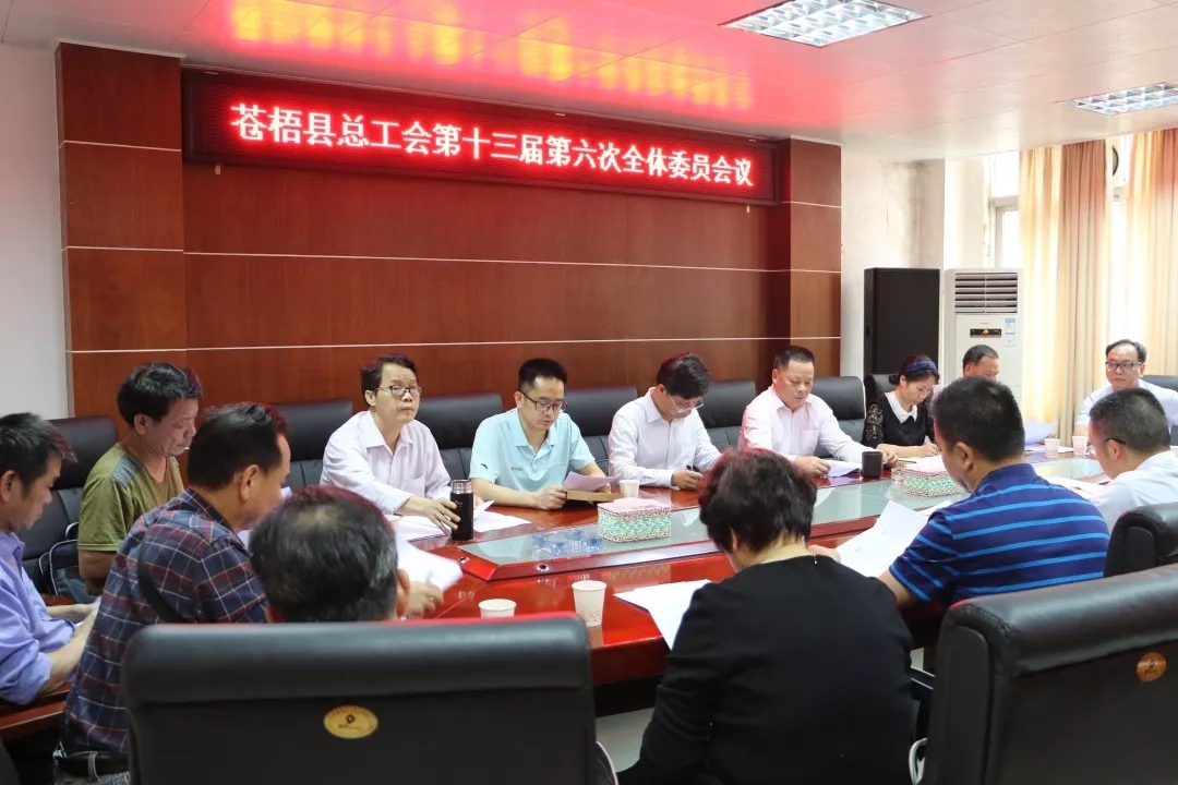 苍梧县总工会召开第十三届委员会第六次全体会议